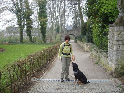 Restenten van oude wallen.