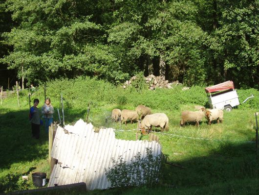 De kinderboerderij van een charmante camping die wij doorkruisten.