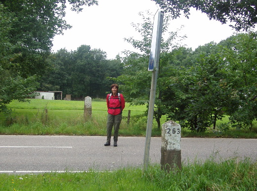 Het GP 263 paar waar de grens naar het noorden gaat langs de Heringsbosch.