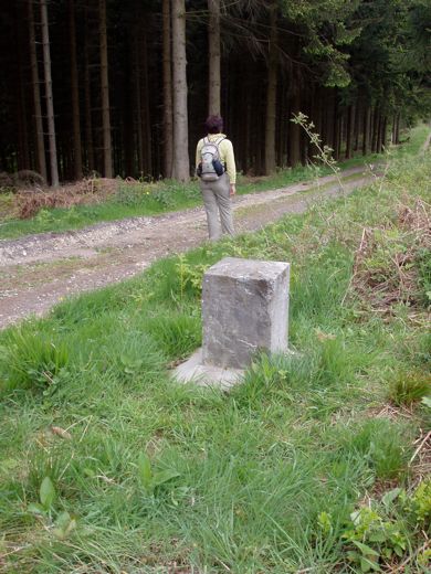 Zelfde opstelling zonder pretentie van nummer, mogelijk bedoeld als XXXVIIII. Bij natelling blijken er vijf palen tussen XXXV en XXXX te staan, de gevelde palen zijn dus ruim gecompenseerd.