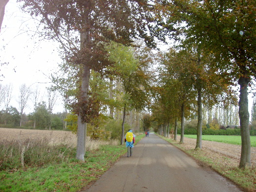 Wandelende vuiliszak tussen de herfstkleuren.