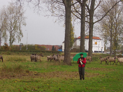 Dit zijn de drollenleggers.