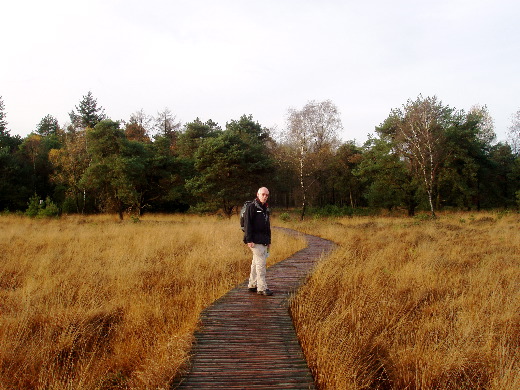 Knuppelpad over de drassigheid.