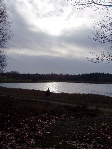 De middagzon in november.