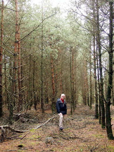 Tussen het kreupelhout.