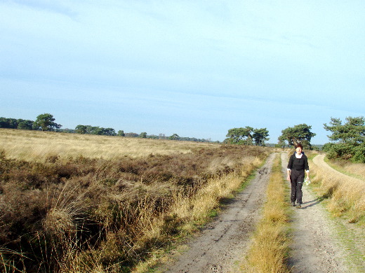 Pad hervonden en de heide op.