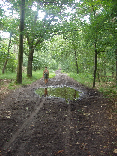 Nattigheid in de Hoge Heide.