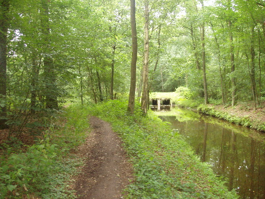 Bert buiten beeld. Ze had het op een lopen gezet naar de Ijzeren Man om het dreigende onweer niet in het bos te moeten doorstaan.