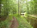 Bert buiten beeld. Ze had het op een lopen gezet naar de Ijzeren Man om het dreigende onweer niet in het bos te moeten doorstaan.