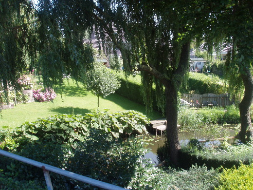 Een prachtig doorkijkje vanaf de Maasdijk in Aalst.