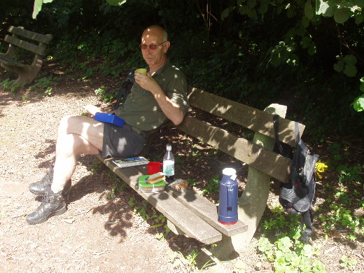 Lunch in het Landgoed Brakel. Het enige stukje bos op deze route.