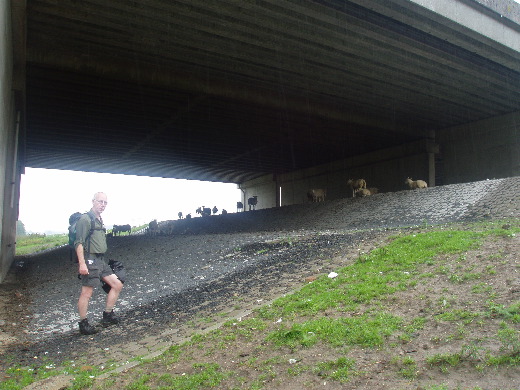 Om 14u43 dachten wij deze brug op te moeten gaan. Teruggelopen om een weg omhoog te vinden.