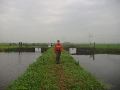 22-09-2007: Gouda - Zwammerdam. 25 km.