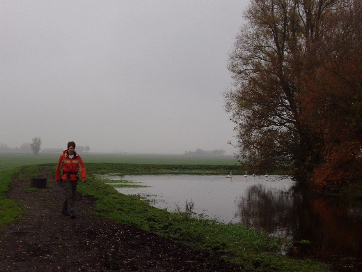 Na een tijdje hadden wij genoeg van het ontwijken van dierlijke uitwerpselen, en hebben wij het parallel lopende asfalt in Kortenaar gekozen.