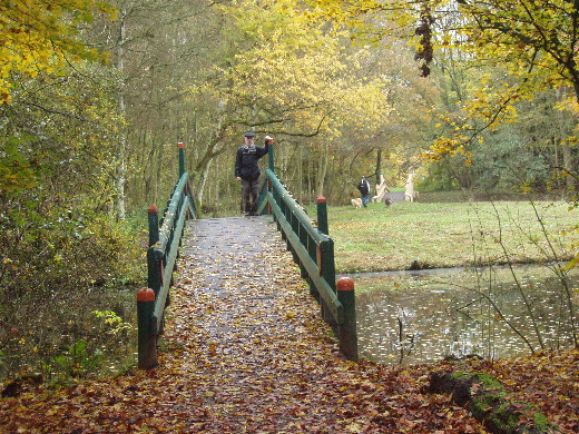 Het Amsterdamse Bos. Een groot natuurgebied midden tussen het metropool van Amsterdam en Amstelveen.