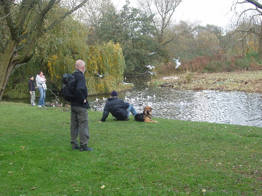 Het voeren van de 'Drijfsijsies'. Alleen de hond heeft meer belangstelling voor de camera.