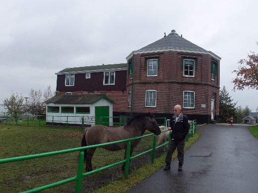 Dit paard is volgens mij vals.