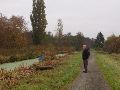 Langs een rommelig natuurgebied. De door vliegtuiggedender afgestompte plaatselijke bevolking blijkt zich weinig zorgen te maken over hun omgeving.