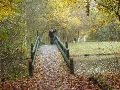 Het Amsterdamse Bos. Een groot natuurgebied midden tussen het metropool van Amsterdam en Amstelveen.