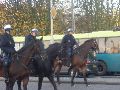 Vermoedelijk maakten deze bereden agenten de grootste indruk op de bontterroristen.