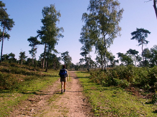 De heide op.