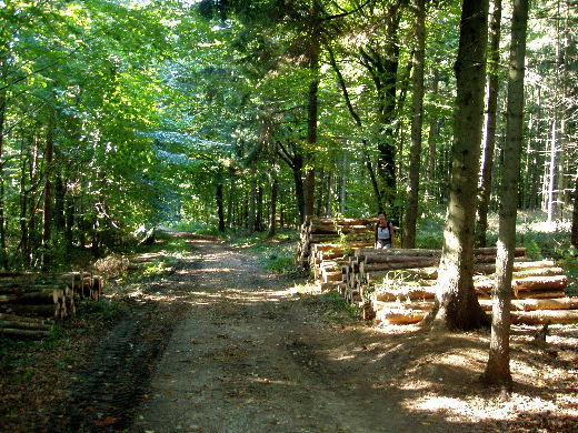 Tussen het haardhout.