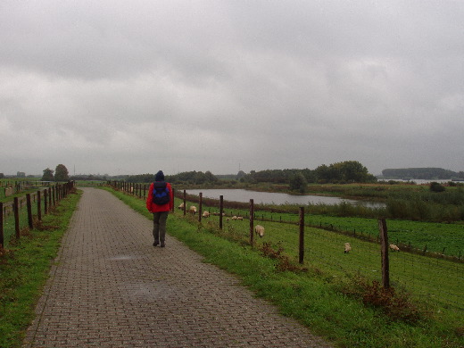 Eindeloos over de dijk lopen.