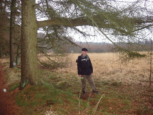 Heide in het Meindersveen.