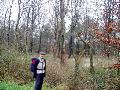 Brandhout.