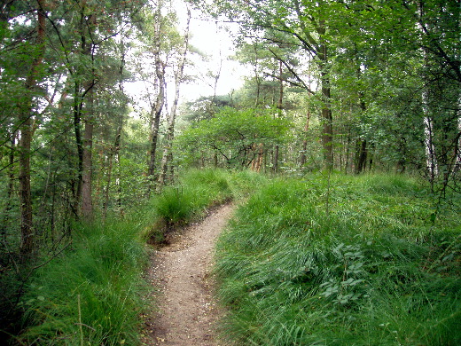 De Limburgse Ardennen.