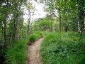 De Limburgse Ardennen.