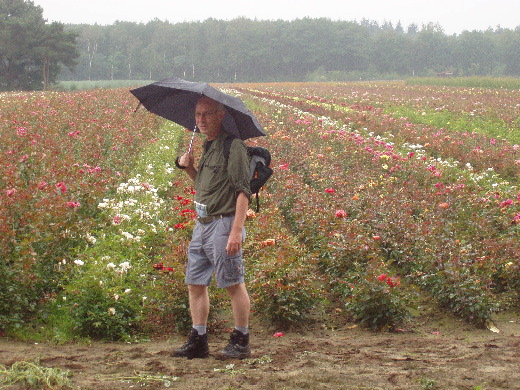 Door de bloemen.