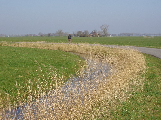 Dit was het voornaamste uitzicht, maar dan zonder riet.