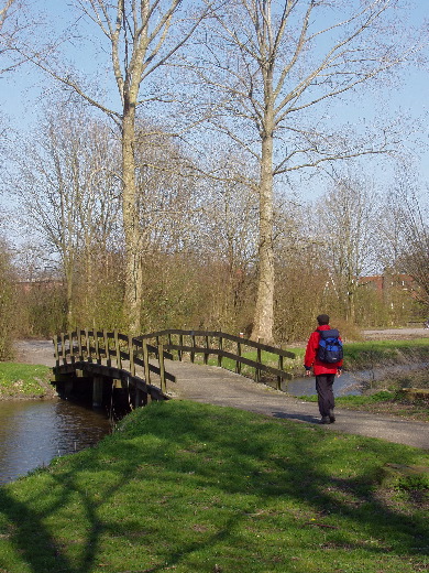 Het park in Winsum.