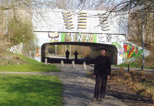 Een met grafitti versierde brug onder het spoor.