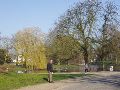 Een van de vele joggers in het park.