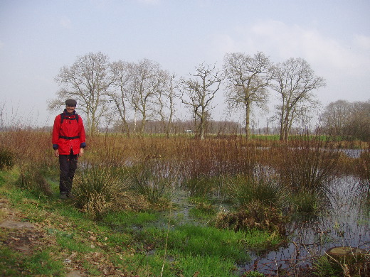 De Grote Veen.