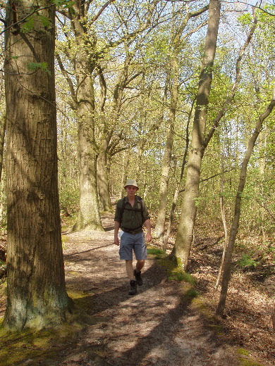 12u23 Wij steken over het bos in langs de GR 564, op zoek naar de GR 561.