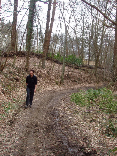 Nog een klim door het Grasbos.