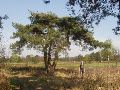 Laatste uitzicht op de golfbaan.