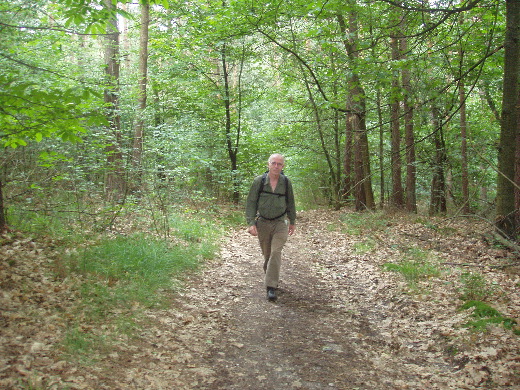 De herfstbladeren liggen hier in juni nog steeds onaangeroerd.