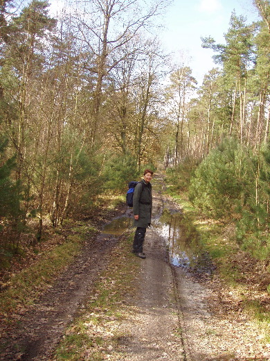 Na de zandgroeve overwonnen te hebben weer het bos in.