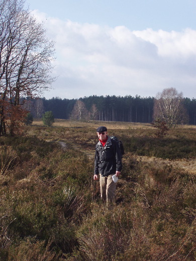 Uizicht over de Heide.