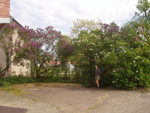 Het dametje dat deze prachtige tuin onderhield kwam even buiten voor een praatje.