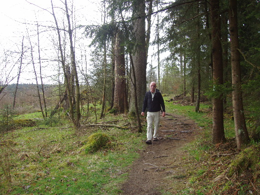 Vanaf het hotel konden wij vrij snel het bos in.