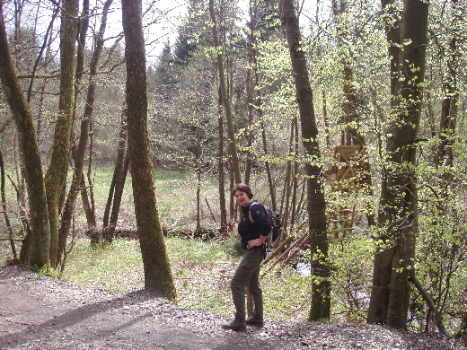 Dichter bij Dillenburg is het bos weer ongeschonden.