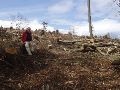 Nog meer sporen van natuurlijke destruktie.