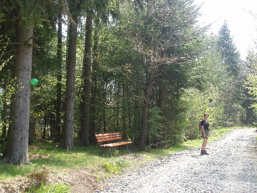 Weer het bos in. De rout was hier afgezet door veelkleurige balonnen.