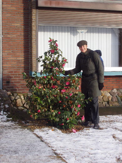      15u47: Bloeiende bloemen in de februarisneeuw.