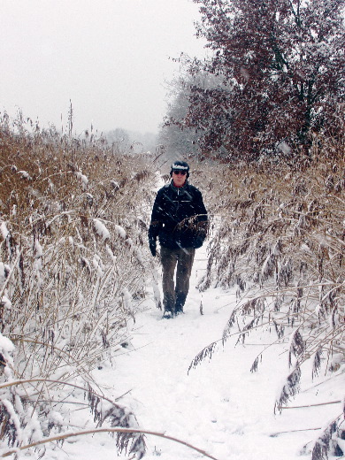      12u21: Het riet had de eigenschap om omhoog te komen als wij erlangs liepen en de sneeuw van de aren schopten.